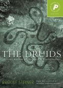 THE DRUIDS