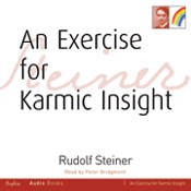 AN EXERCISE FOR KARMIC INSIGHT