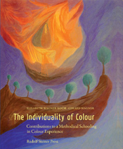 THE INDIVIDUALITY OF COLOUR