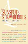 FROM SUNSPOTS TO STRAWBERRIES...